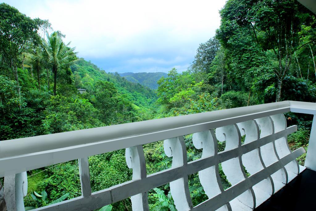 Spring And Valley View Thekkady Phòng bức ảnh
